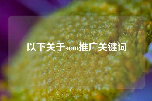 以下关于sem推广关键词