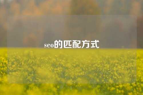 seo的匹配方式