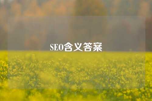 SEO含义答案