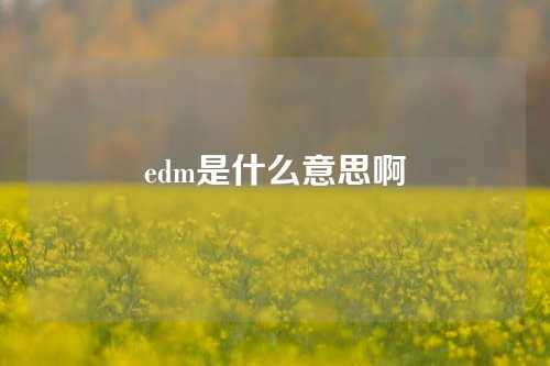 edm是什么意思啊