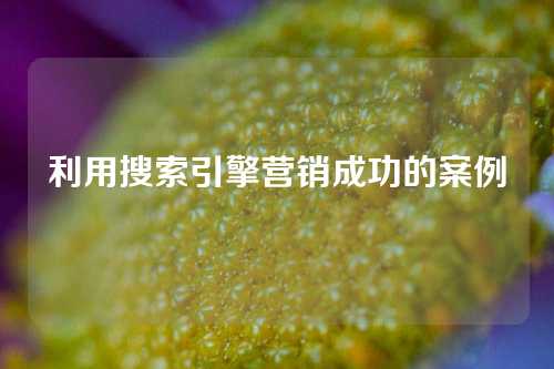 利用搜索引擎营销成功的案例