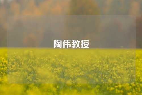 陶伟教授