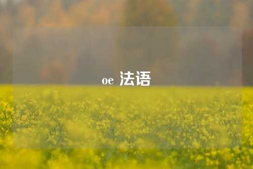 oe 法语