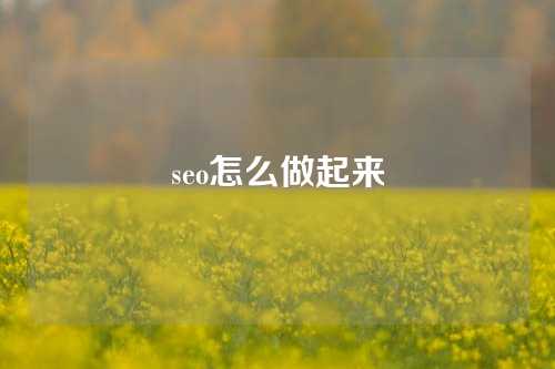 seo怎么做起来