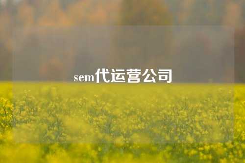 sem代运营公司