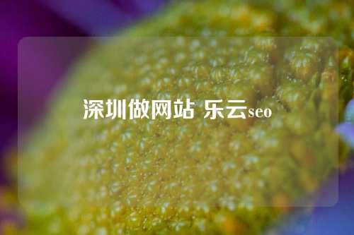 深圳做网站 乐云seo