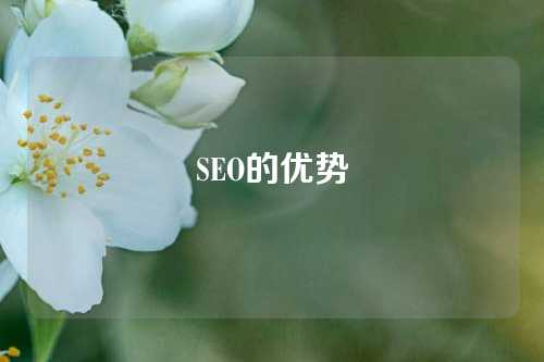 SEO的优势