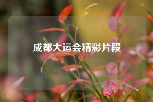 成都大运会精彩片段