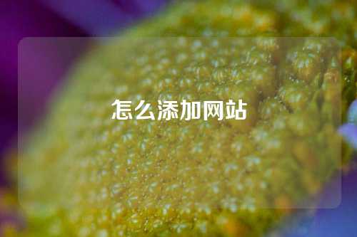 怎么添加网站