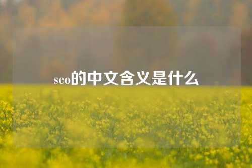 seo的中文含义是什么