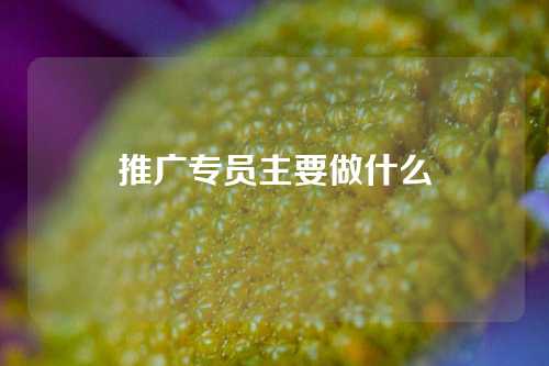 推广专员主要做什么