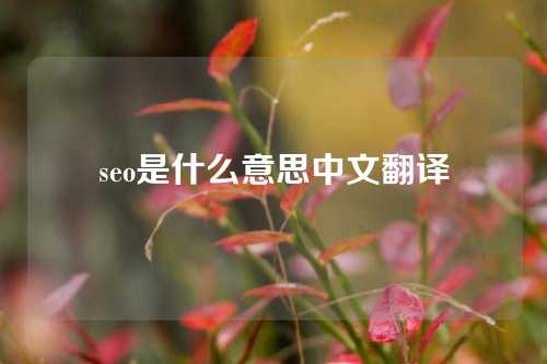 seo是什么意思中文翻译