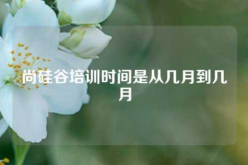 尚硅谷培训时间是从几月到几月