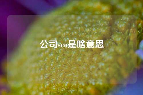 公司seo是啥意思