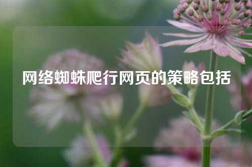 网络蜘蛛爬行网页的策略包括