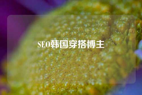 SEO韩国穿搭博主