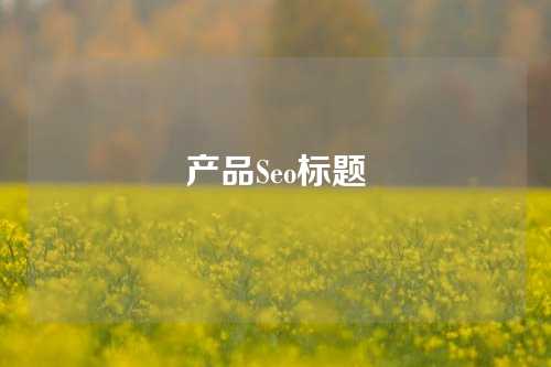 产品Seo标题