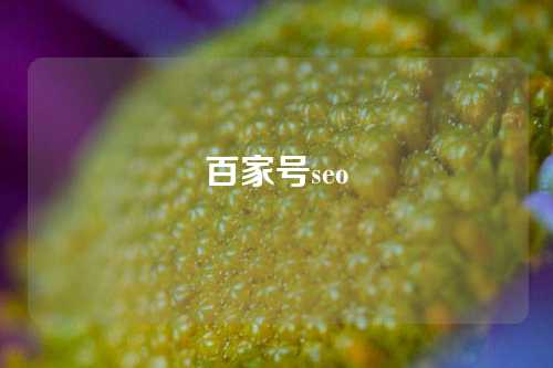 百家号seo