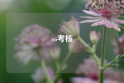 so考核