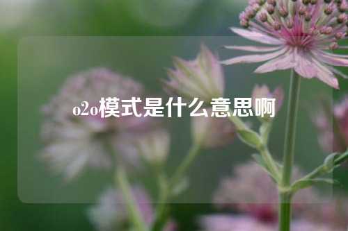 o2o模式是什么意思啊