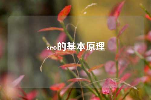 seo的基本原理