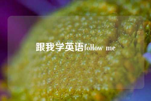 跟我学英语follow me