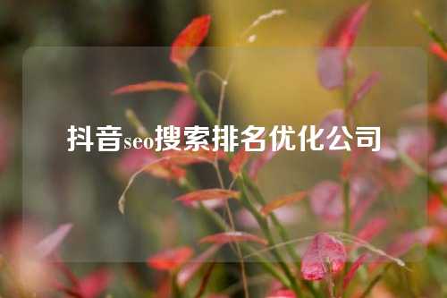 抖音seo搜索排名优化公司