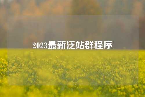 2023最新泛站群程序