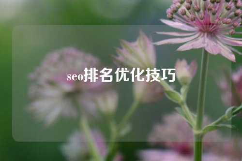 seo排名优化技巧