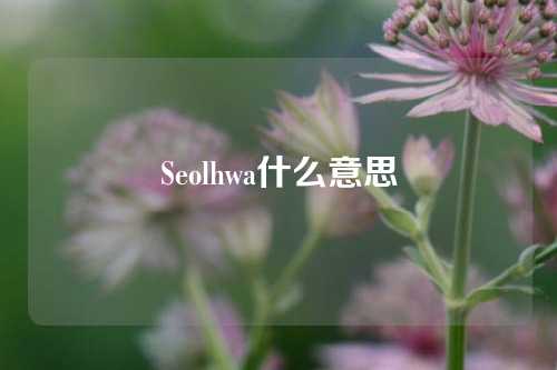 Seolhwa什么意思