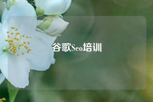 谷歌Seo培训