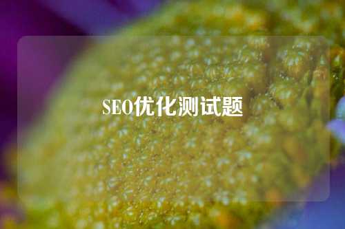 SEO优化测试题