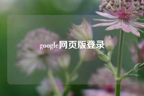 google网页版登录