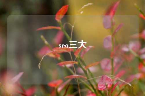 seo三大