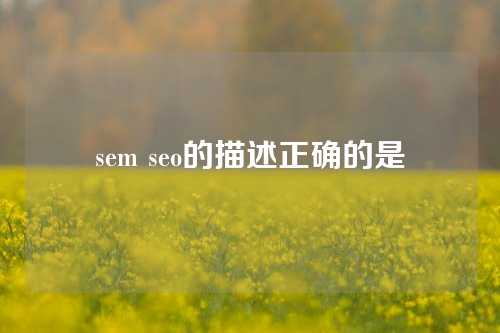 sem seo的描述正确的是