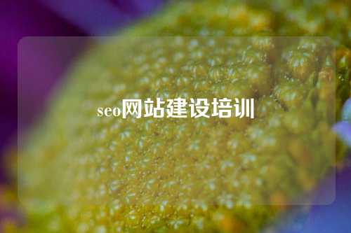 seo网站建设培训