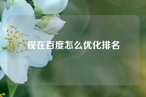 现在百度怎么优化排名