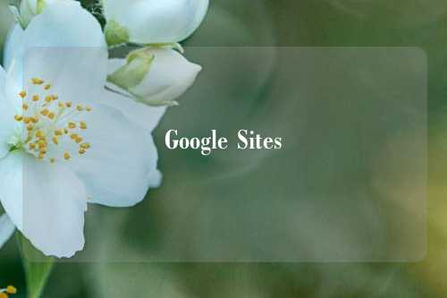 Google Sites