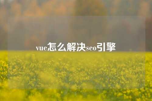 vue怎么解决seo引擎