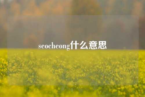 seocheong什么意思