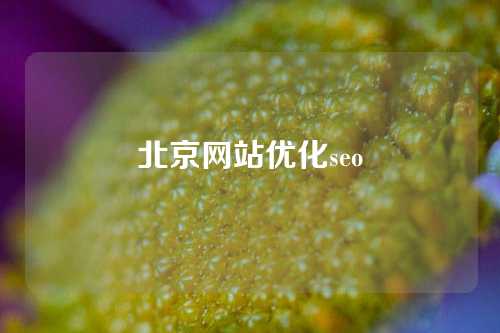 北京网站优化seo