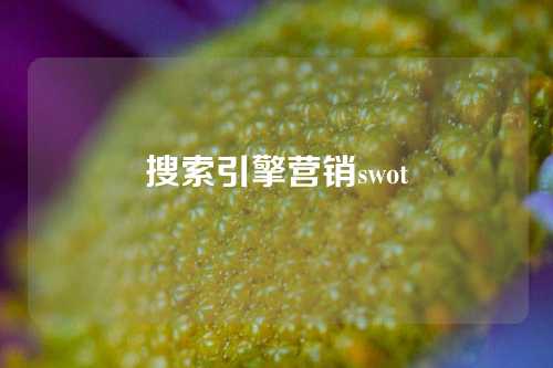 搜索引擎营销swot