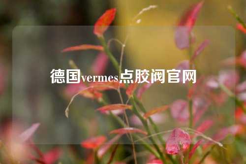 德国vermes点胶阀官网