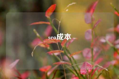 seo成本