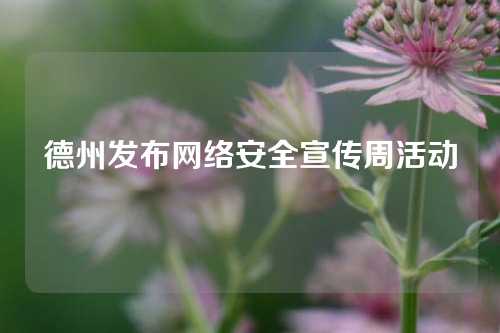 德州发布网络安全宣传周活动