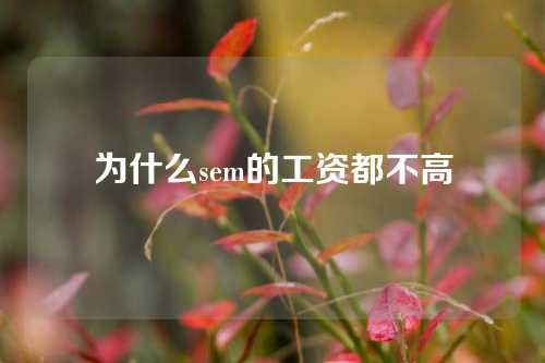 为什么sem的工资都不高