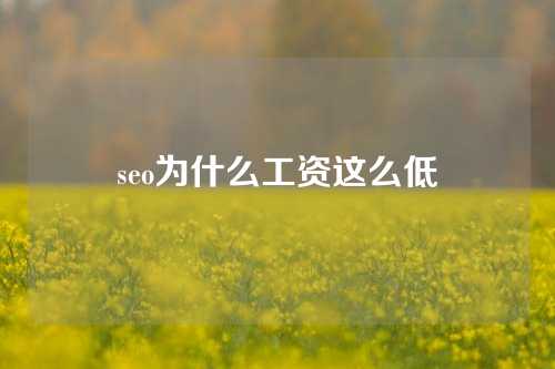 seo为什么工资这么低