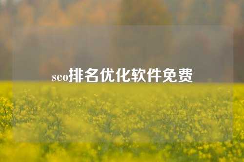 seo排名优化软件免费