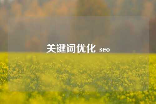 关键词优化 seo