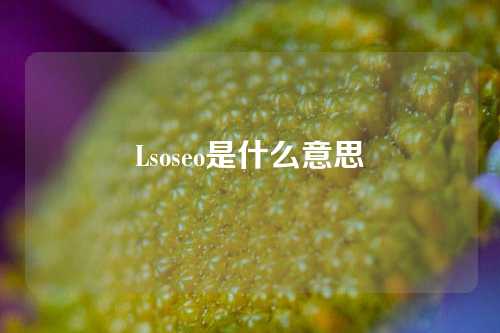 Lsoseo是什么意思